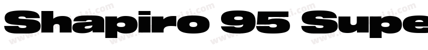 Shapiro 95 Super Extd字体转换
